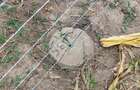 Land at Moi South Lake Road - 6