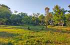 Land in Mtwapa - 11