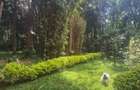 2 Bed House with En Suite in Karen - 14