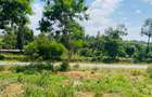 19 ac Land at Kenol-Makutano Highway - 1