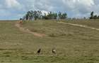 Land in Mombasa Road - 12