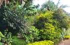 Commercial Property in Rhapta Road - 9