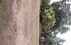 5,024 m² Land at New Muthaiga - 5