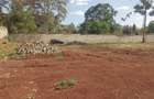Residential Land at Runda - 9