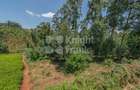 4.8 ac Land at Riara Ridge - 2