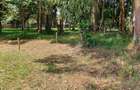 Residential Land at Karen The Hip Road - 3