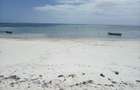 20 ac Land at Kikambala Beach - 4
