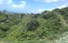 Land at Ngomeni - 3