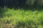 1.2 ac Land in Ngong - 8