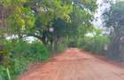 40 ac Land at Vipingo Kuruwitu - 3