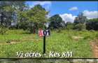 Land at Vipingo Kilifi - 3