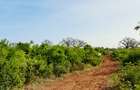 Land in Diani - 3