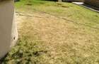 5 Bed Townhouse with En Suite at Lavington - 7