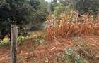 0.25 ac Land in Nyeri - 9