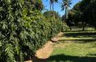 Land in Mtwapa - 4