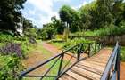 Commercial Property in Spring Valley - 5