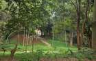 4 Bed House with En Suite in Rosslyn - 9
