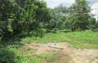 Land at East Church Rd - 4
