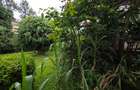 Land at Riverside Drive - 4