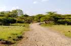 0.25 ac Residential Land at Maasai Lodge Road - 4