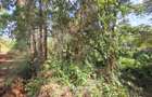 4.7 ac Land in Kitisuru - 1