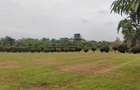 37,030 m² Land in Ruiru - 2