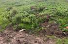 2 ac Commercial Land at Katheri - 4