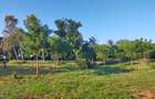 Land in Mtwapa - 13