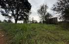 0.5 ac Land in Ruaka - 6