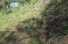 0.25 ac Residential Land in Ngong - 10