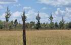 Residential Land at Moi South Lake Road - 2