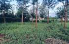 1 m² Land at Kiganjo Road - 3