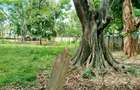 Residential Land in Thigiri - 5