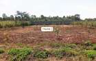 Residential Land in Ruiru - 2