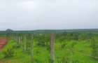 Land in Kilifi County - 1