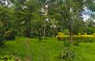 Residential Land at Hardy Area - 13