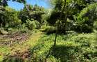 0.5 ac Residential Land in Kitisuru - 4