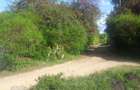 1.5 ac Commercial Land at Touching Namanga Road - 3