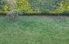 4 Bed Villa with En Suite in Runda - 5