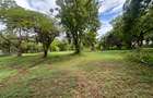 2.5 ac Land at Pangoni - 1