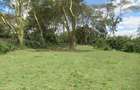 25 ac Land at Moi S Lake Rd - 16
