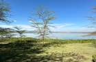 0.25 ac Residential Land at Lake Elementaita - 1