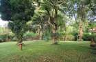 4 Bed House with En Suite in Nyari - 4