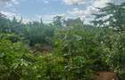 2 ac Land at Karingani - 10