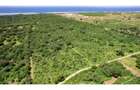 Residential Land in Vipingo - 16