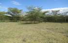 Land at Kitengela - 13