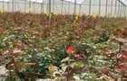 120 ac Land at Nyandarua County - 7