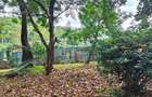 2 ac Land at Lantana Road - 19