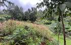 0.42 ac Residential Land at Kirawa Road - 7