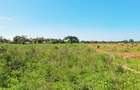 Land at Vipingo - 7